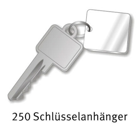 250 Schlüsselanhänger aus Acryl